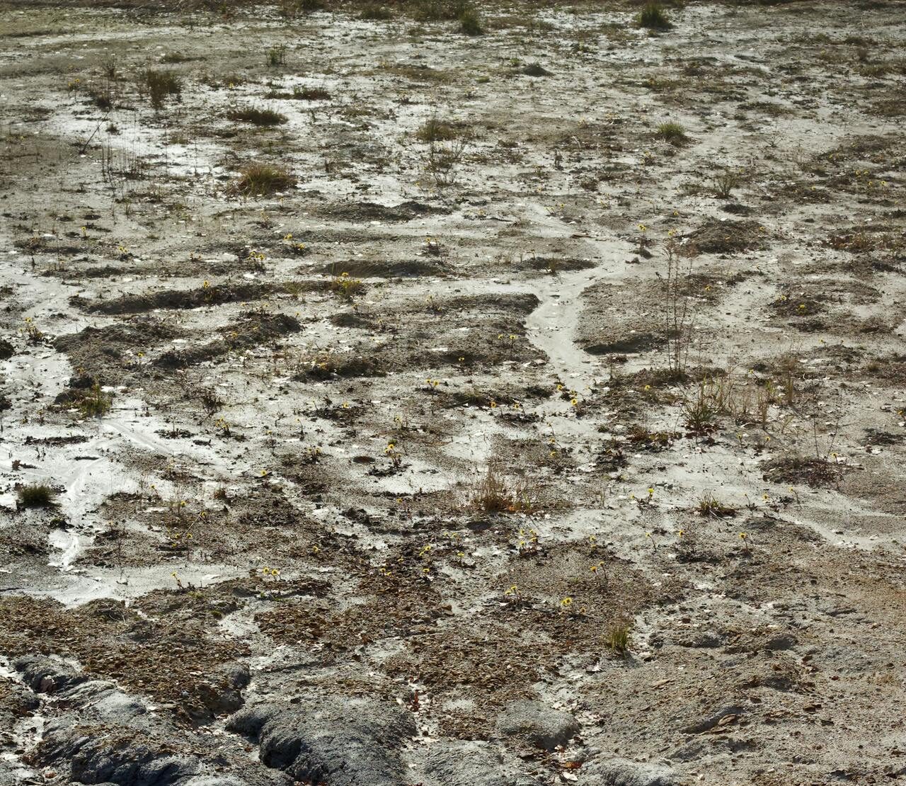 soil disposal